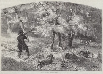 Caccia alla pernice in Nuova Scozia